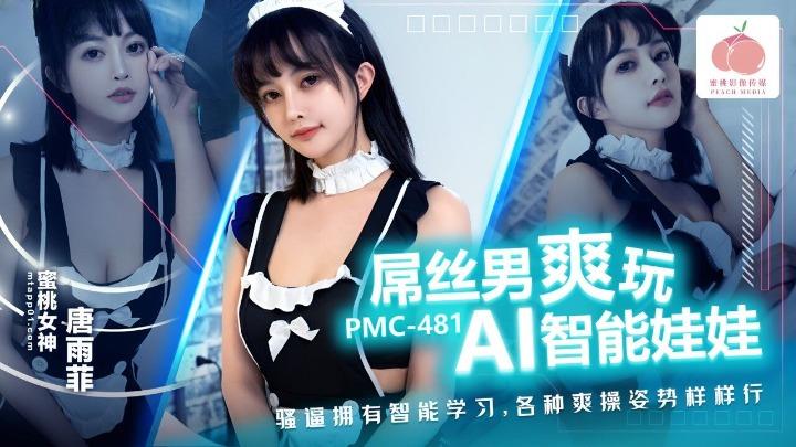 PMC-481 屌丝男爽玩AI智能娃娃