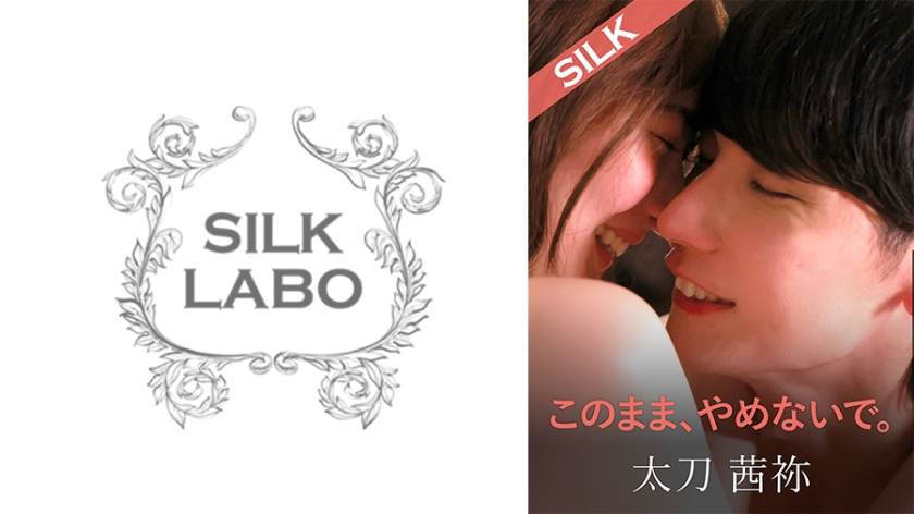 SILKS-123 不要这样停下来。 末广淳